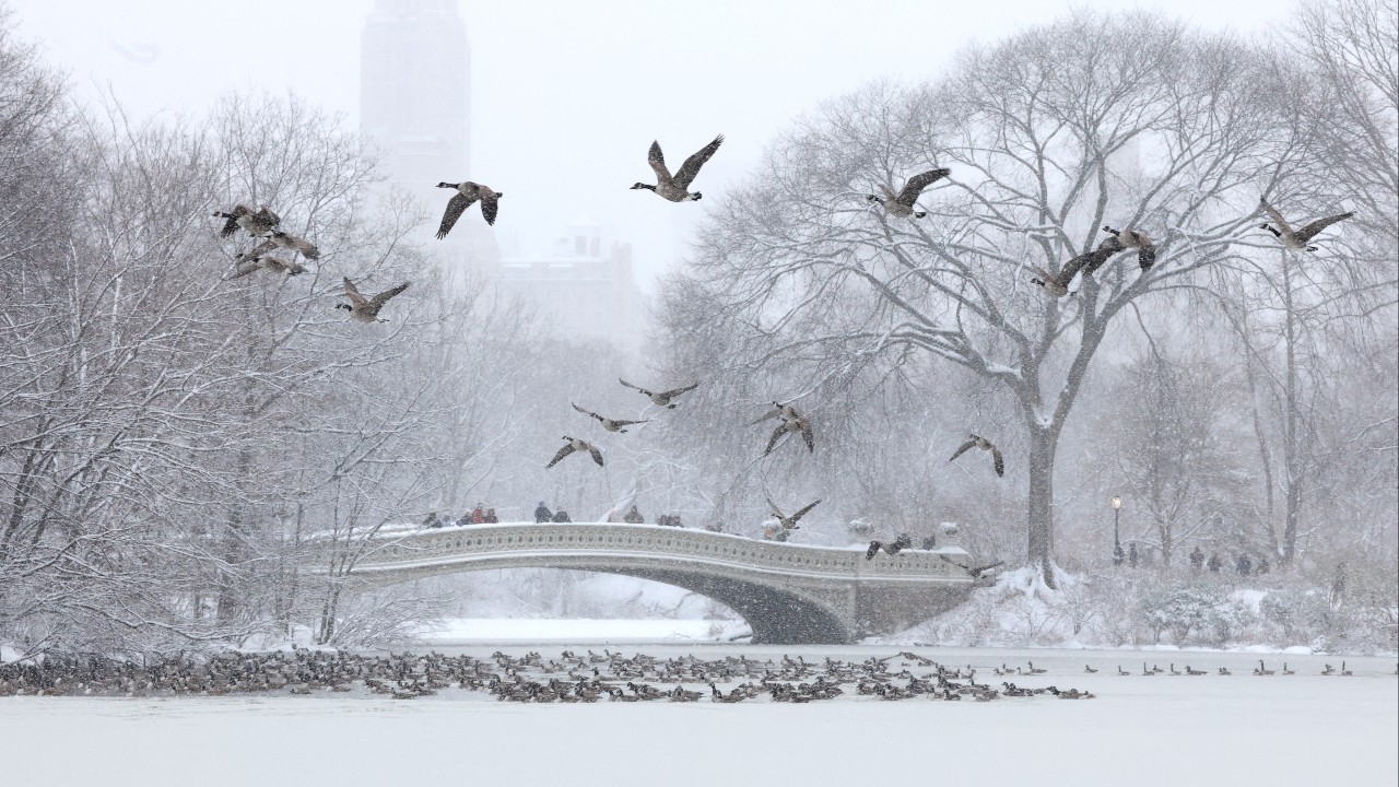 พายุหิมะถล่มนิวยอร์ก-นิวเจอร์ซีย์ เที่ยวบินดีเลย์-ยกเลิกนับพัน กระทบการเดินทางช่วงหลังคริสต์มาส