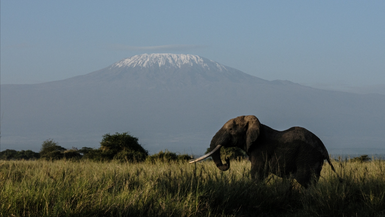 เฮลิคอปเตอร์การแพทย์ตก บนเขาคิลิมันจาโร ดับสลด 5 ศพ