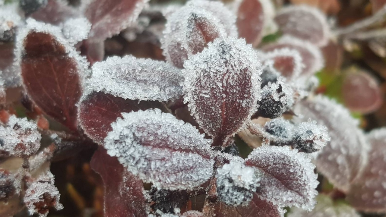 อากาศหนาว โปรหนาวชุดใหม่ ลดให้อีก 3-5 องศา เชียงใหม่ลุ้นทำสถิติอุณหภูมิต่ำสุด