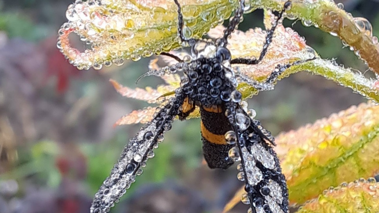 หนาวทั่วถึง กรุงเทพ-ปริมณฑล หนาวสุด 17 องศาฯ ที่บางพลี