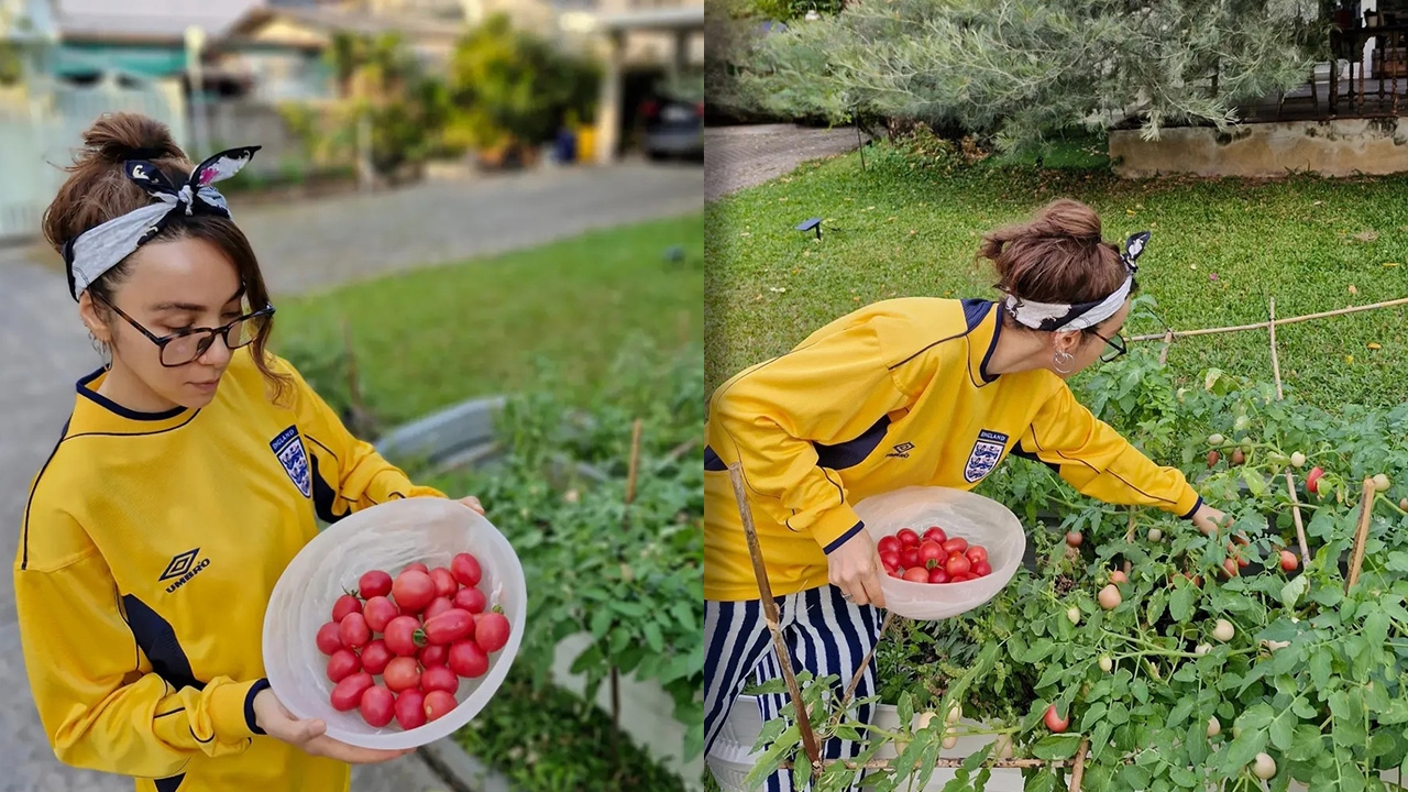 ปาล์มมี่ หัดเป็นยูทูบเบอร์มือใหม่ พาแฟนๆ ชมสวนมะเขือเทศ แต่อ่านแคปชั่นแล้วเอ็นดู (คลิป)