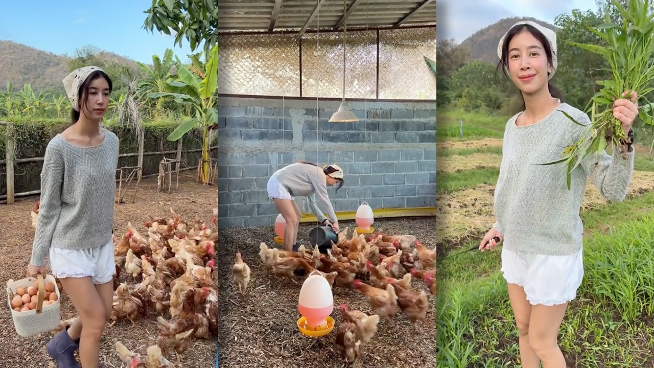 มิ้นต์ ชาลิดา เปิดชีวิตเรียบง่ายช่วงปีใหม่ เก็บผักเก็บไข่ในไร่ที่เขาใหญ่ (คลิป)