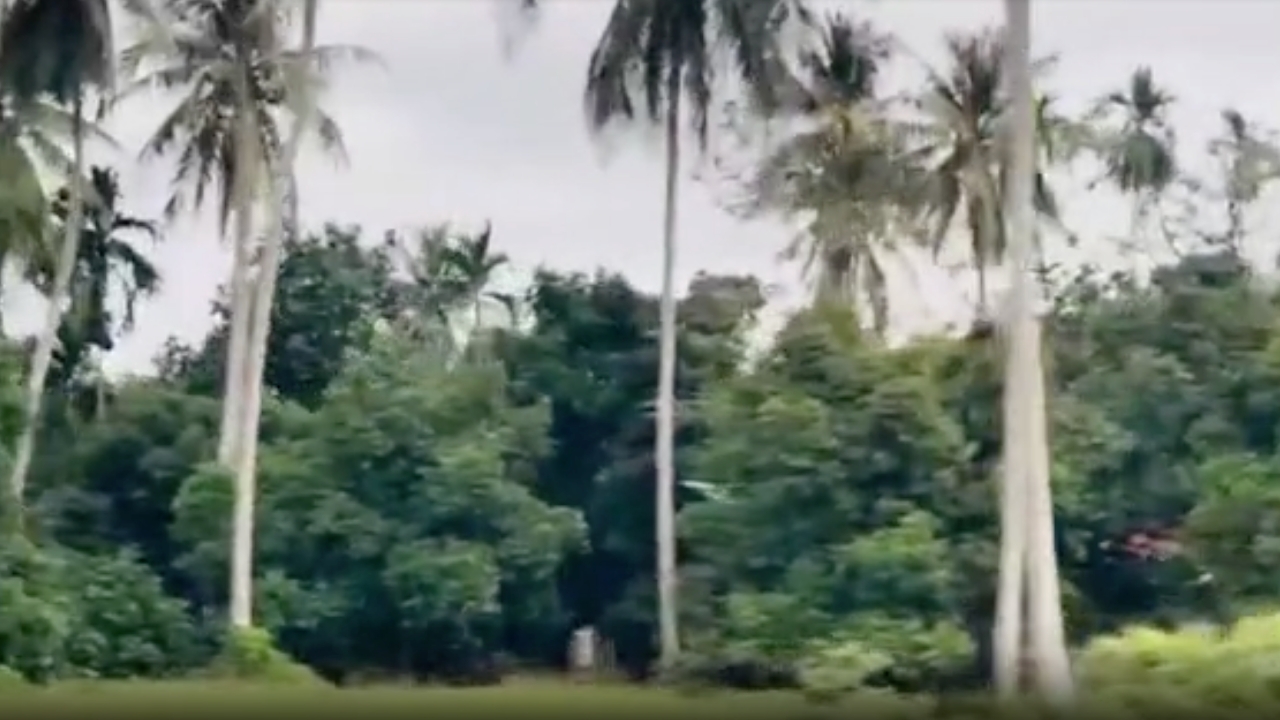 หมู่บ้านหนึ่งในพัทลุง พบชาวบ้านเป็นผู้ต้องหาคดีฉ้อโกง 70 คดี รวม 21 ล้านบาท