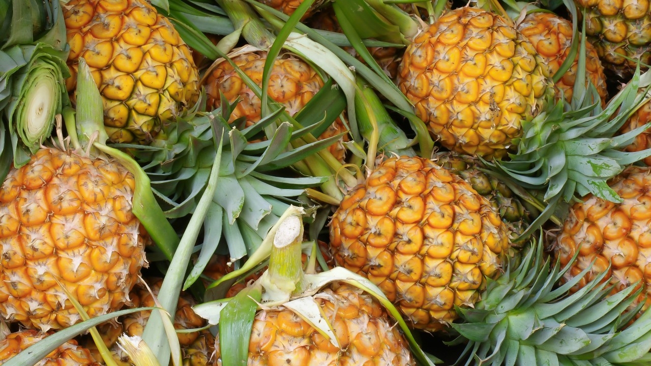 เช็กเลย 5 โรคที่ห้ามกินสับปะรดมีอะไรบ้าง พร้อมข้อควรระวัง