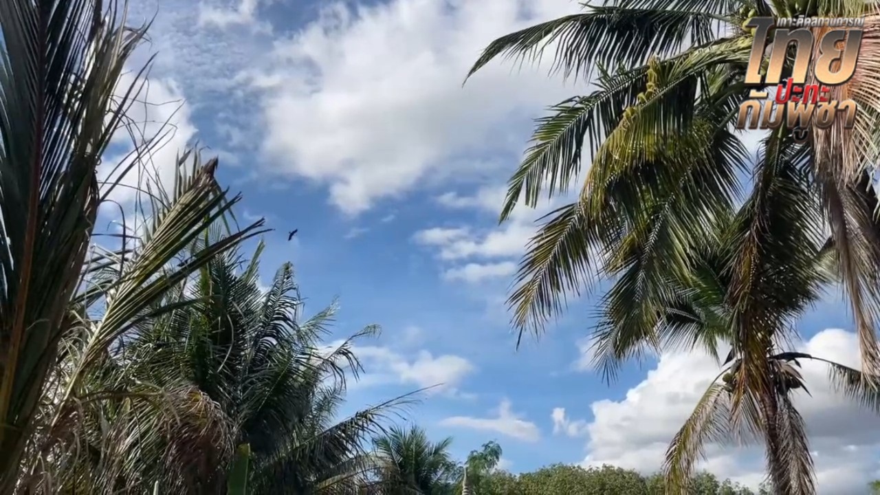 กัมพูชารัวยิง BM-21 เข้าพื้นที่ปราสาทตาควายแต่เช้า คาดต้องการยึดคืน ไทยโต้กลับ