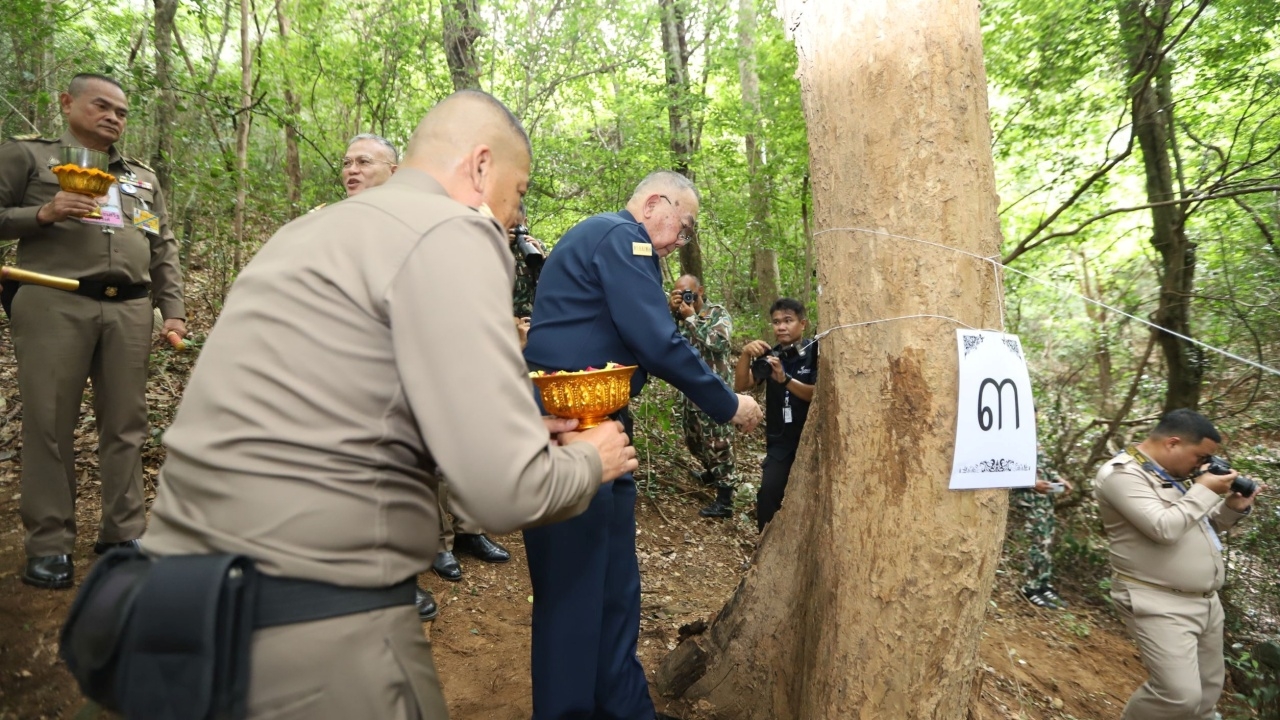 บวงสรวงปฐมฤกษ์ ตัดไม้จันทน์หอม อุทยานฯ กุยบุรี เพื่อสร้างพระโกศ - พระหีบไม้จันทน์