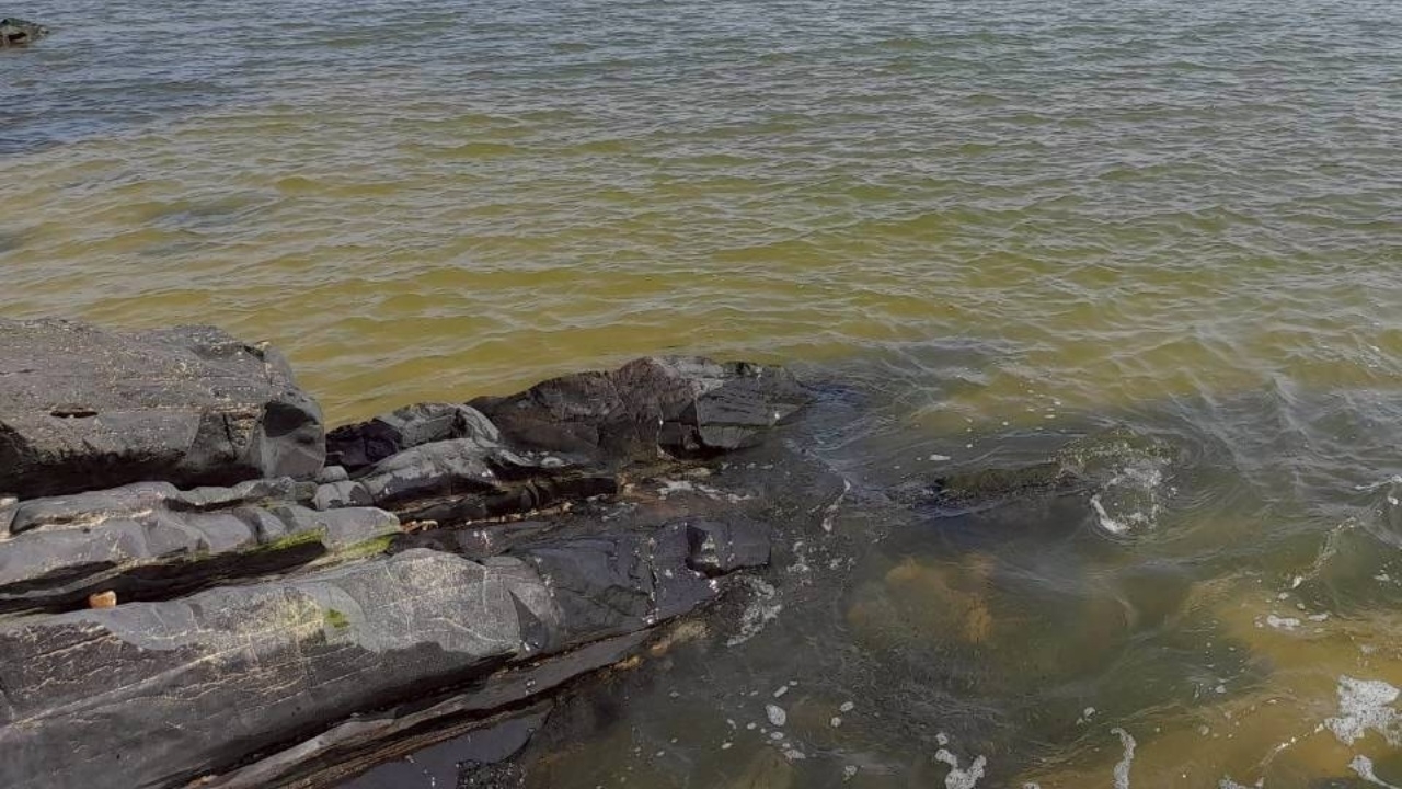 ตรวจสอบแล้ว "น้ำทะเลเปลี่ยนสี" เป็นสีน้ำตาลที่ จ.สงขลา ศวทล. ยันไม่เป็นอันตราย