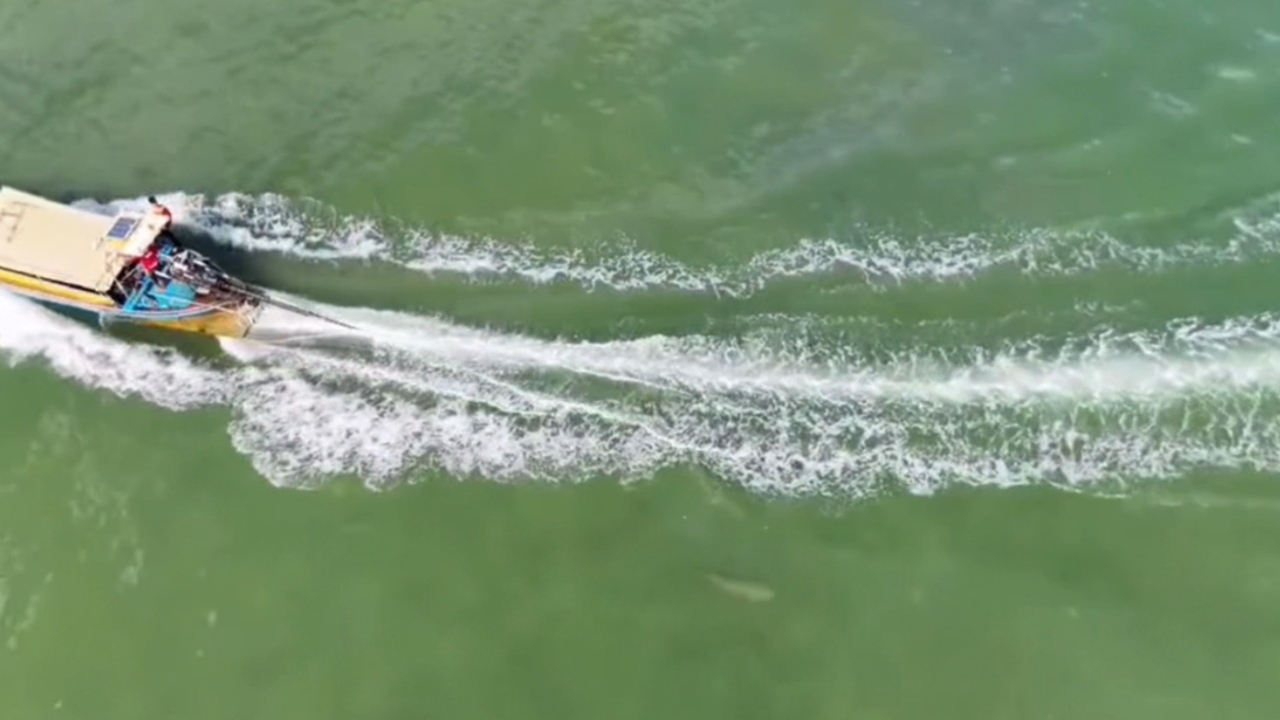 โดรนบินสำรวจจับภาพ เรือหางยาวนำเที่ยว วิ่งเขตอนุรักษ์ หวิดชน “พะยูน” แม่-ลูก