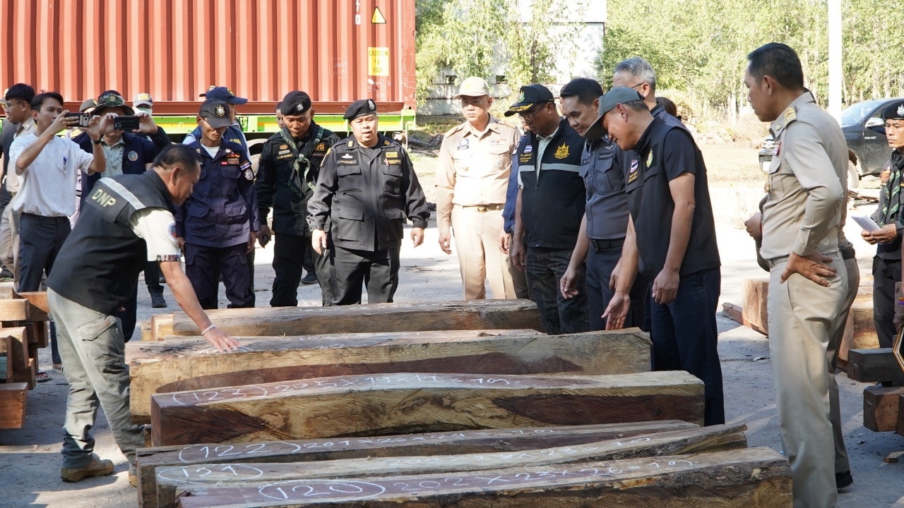ตรวจยึดไม้เถื่อน จากโกดังชาวจีน มูลค่า 300 ล้าน เตรียมส่งออกต่างประเทศ