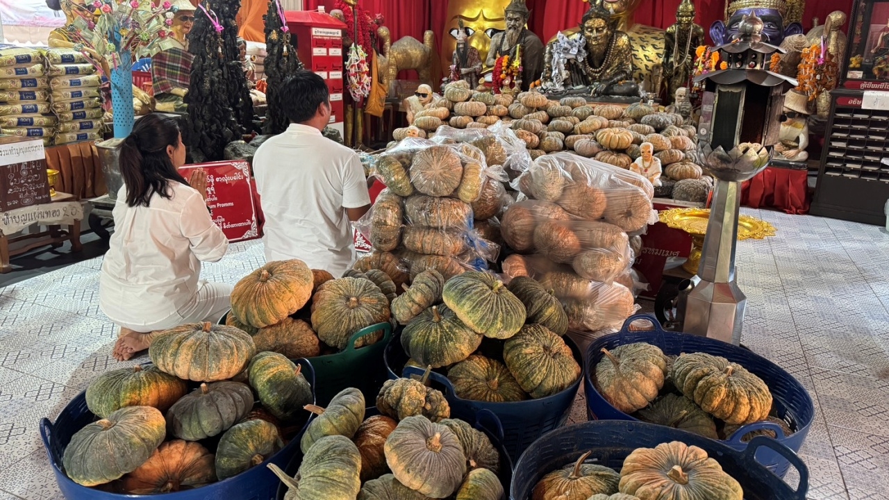 หนุ่มสมหวังขายที่ได้ ขนฟักทองแก้บน "ปู่ฤาษีพรหมเมศ" คอหวยไม่ลืมส่องเลขทะเบียนรถ