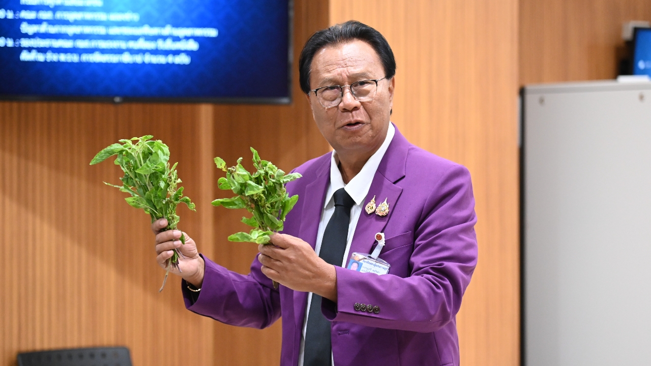 “บุญรวี” จี้ “สุริยะ” เร่งตรวจสอบ “แตงกวา พริก มะเขือเทศ” เสี่ยงถูกยื่นคุ้มครองสิทธิ