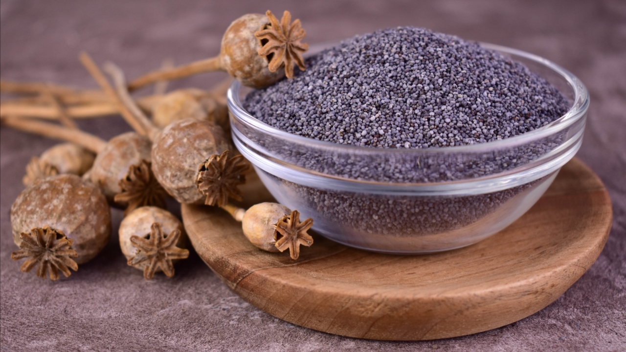 อย่าหยิบกินมั่ว! "Poppy Seed" เมล็ดเล็กคล้ายแมงลัก อาจอันตรายถึงชีวิต