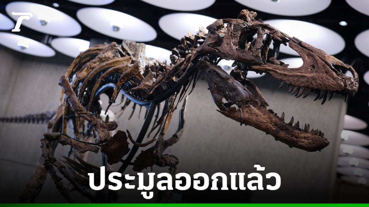 Jodi Dinosaur Skeleton Sells at New York Auction