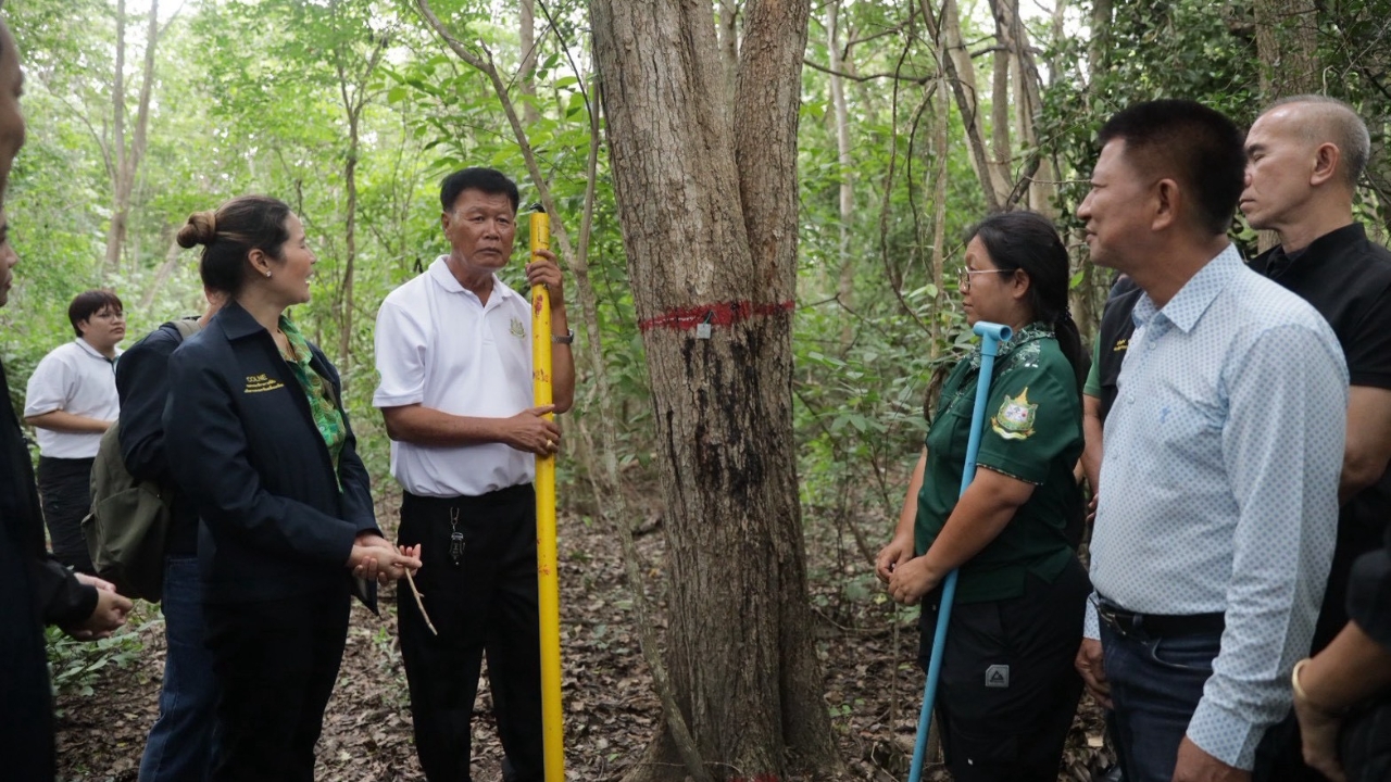 กมธ.ที่ดินฯ ลงพื้นที่ป่าชุมชนโค้งตาบาง ดันรายได้คาร์บอนเครดิตถึงมือชาวบ้าน