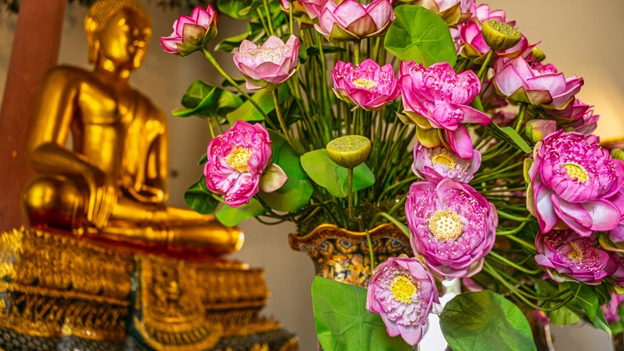 ไหว้พระใช้ดอกไม้อะไรดี? เปิดความหมาย 7 ดอกไม้มงคล เลือกให้ตรงกับพรที่อยากขอ
