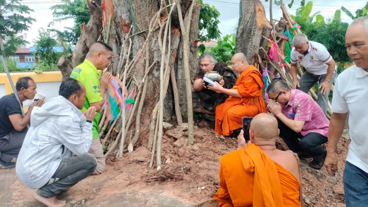 พิธีศักดิ์สิทธิ์ “ค้ำโพธิ์ค้ำไฮ” ชาวบ้านส่องเลขเด็ด เสี่ยงโชคงวด 1/10/69