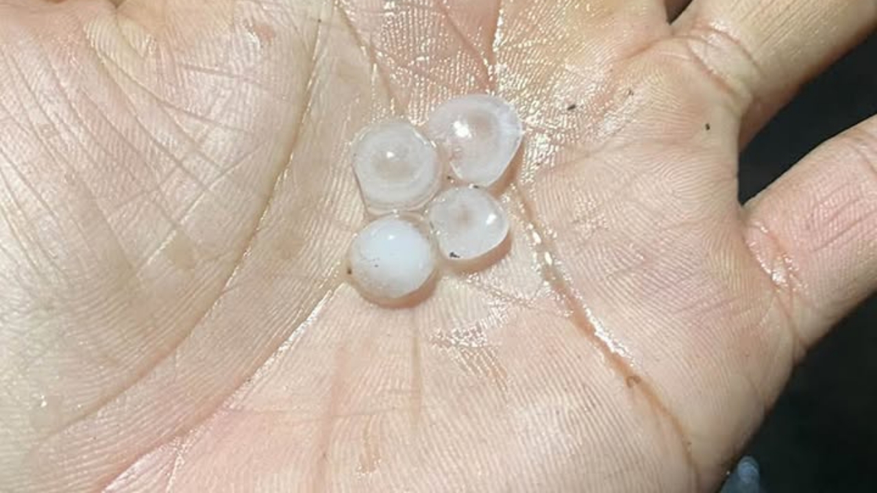 ฝนตกหนัก ลูกเห็บตกหลายพื้นที่ใน กทม. หลายคนบอกเพิ่งเคยเห็น