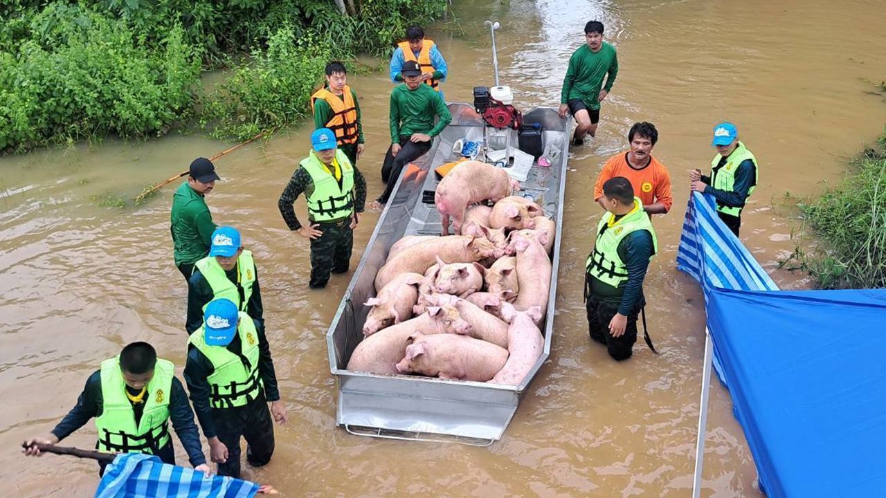 “สุริยะ” สั่งกรมปศุสัตว์เร่งช่วยเกษตรกรน้ำท่วม อพยพสัตว์ 3.8 แสนตัว