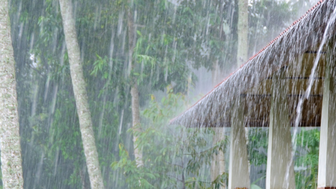 เตือนอากาศแปรปรวนฉบับ 8 เช็กจังหวัดเสี่ยง วันนี้ 5 ต.ค. มีฝนตกหนักถึงหนักมาก