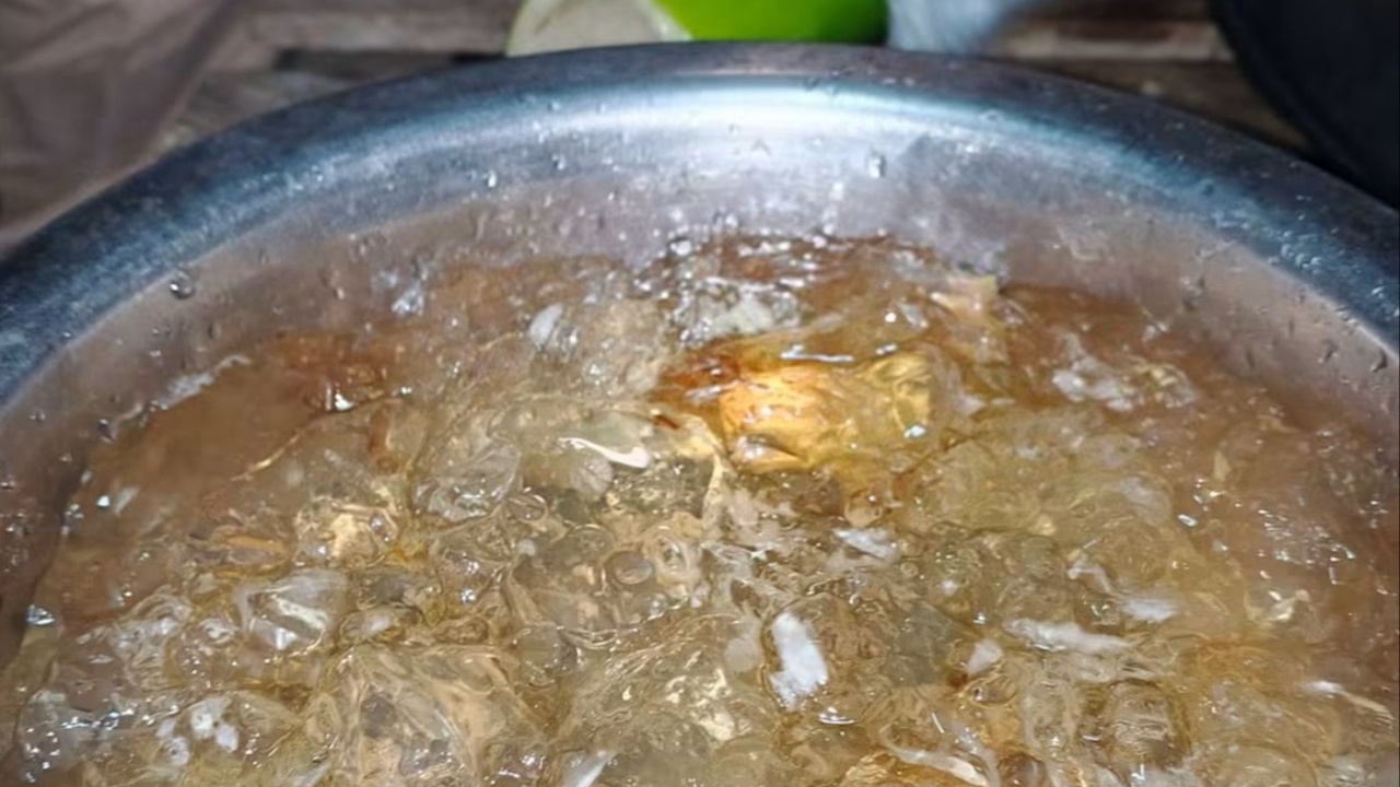 1 ปีมีครั้ง ชาวบ้านหาวุ้นไม้ไผ่ป่า ของเด็ดหายากช่วงปลายฝนต้นหนาว