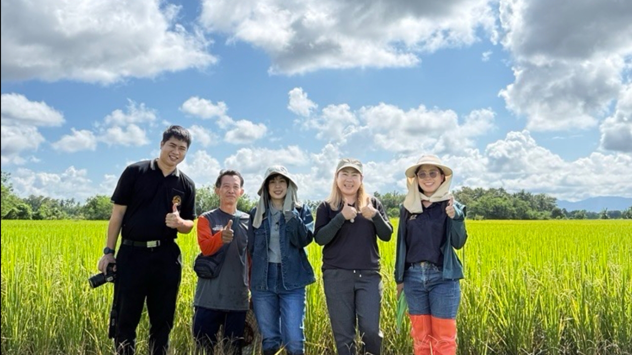 ศูนย์เมล็ดพันธุ์ข้าวลำปาง ชู “ข้าวสายน้ำแร่แจ้ซ้อน” เจาะตลาดพรีเมียม