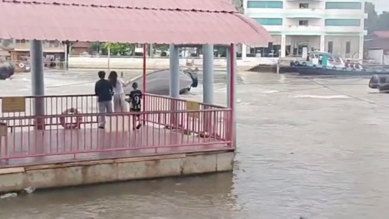 ระทึกกลางแม่น้ำป่าสัก "เรือลากจูงสินค้า" อับปางหน้าวัดพนัญเชิงฯ บาดเจ็บ 1 ราย