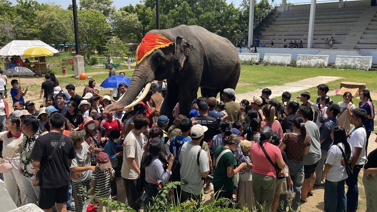 กำลังใจเพียบ นักท่องเที่ยวคึกคักแห่ชม "โชว์พี่ช้าง" แน่นฟาร์มจระเข้สมุทรปราการ