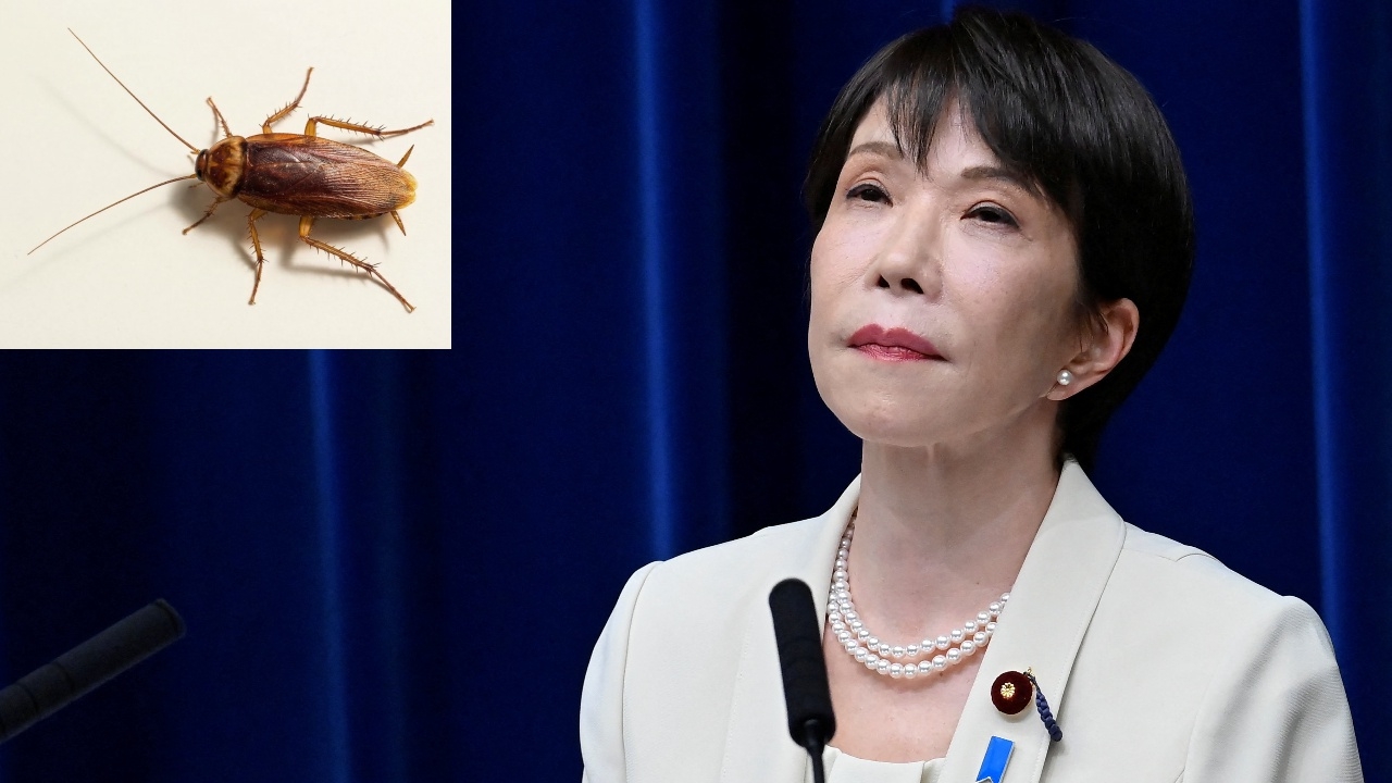 นายกฯ ญี่ปุ่น โพสต์ระบายชีวิตในบ้านพักรัฐบาล ไม่เจอผีแต่เจอ "แมลงสาบ" กลายเป็นเพื่อนยามเหงา