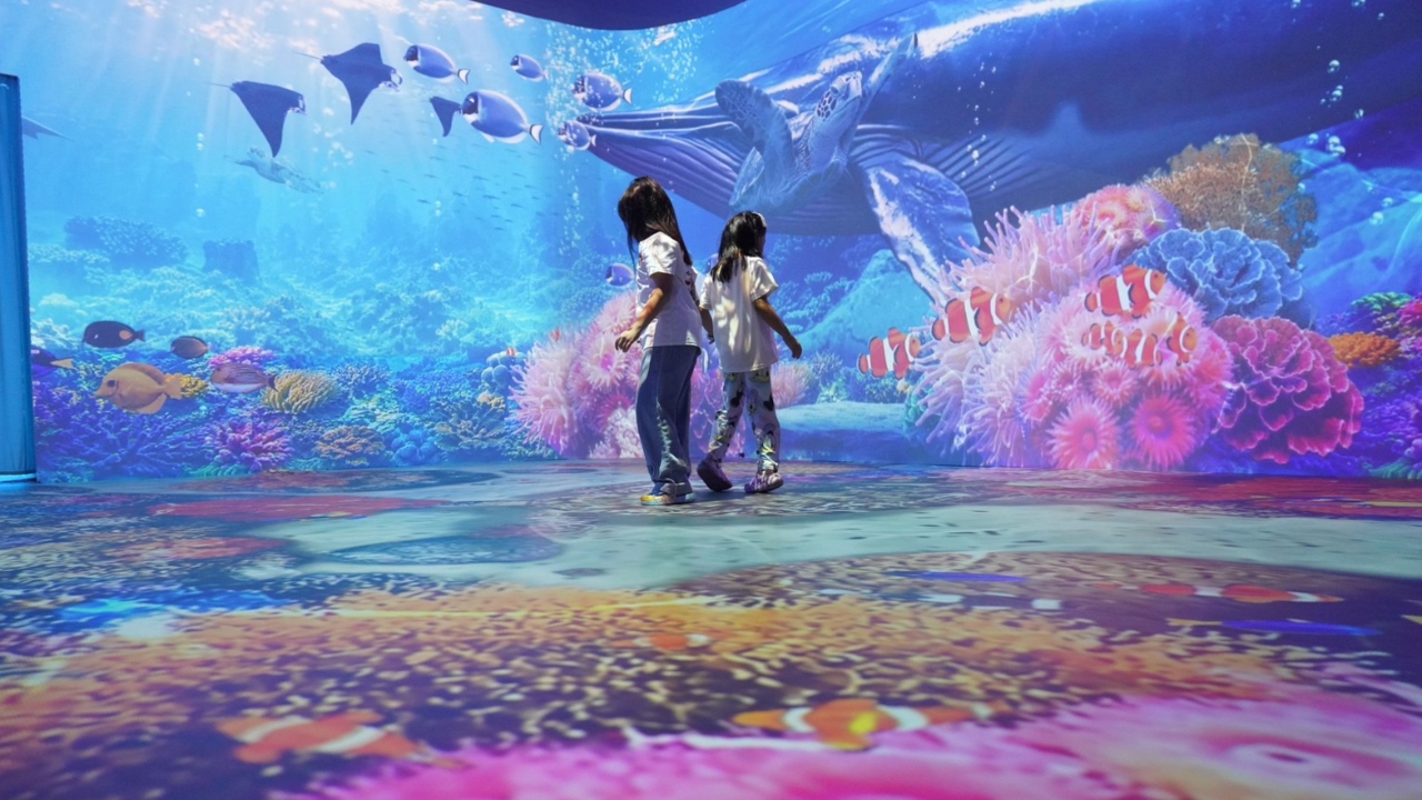 ชวนเที่ยวฟรี! “SEA THE CHANGE” นิทรรศการรักษ์ทะเล Immersive 360° ที่สยามพารากอน ถึง 12 ส.ค. นี้