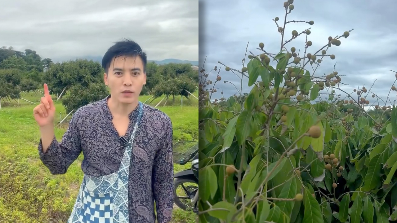 โกสินทร์ ราชกรม เปิดชีวิตเกษตรกร พาชมสวนลำไย-ทุ่งนา 40 ไร่ สวยสดชื่นสบายตา (คลิป)
