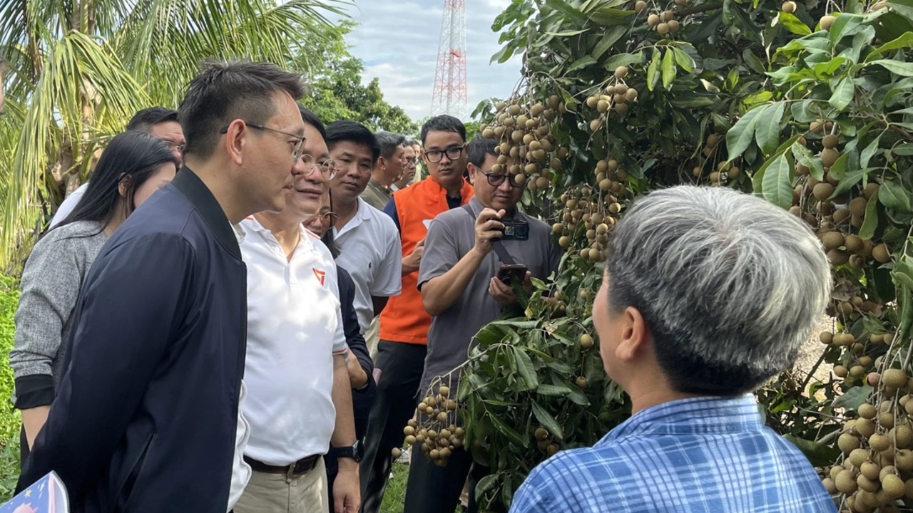 กมธ.พัฒนาเศรษฐกิจ ติดตามสถานการณ์ลำไยเชียงใหม่-ลำพูน ชี้ ต้องแก้ทั้งห่วงโซ่