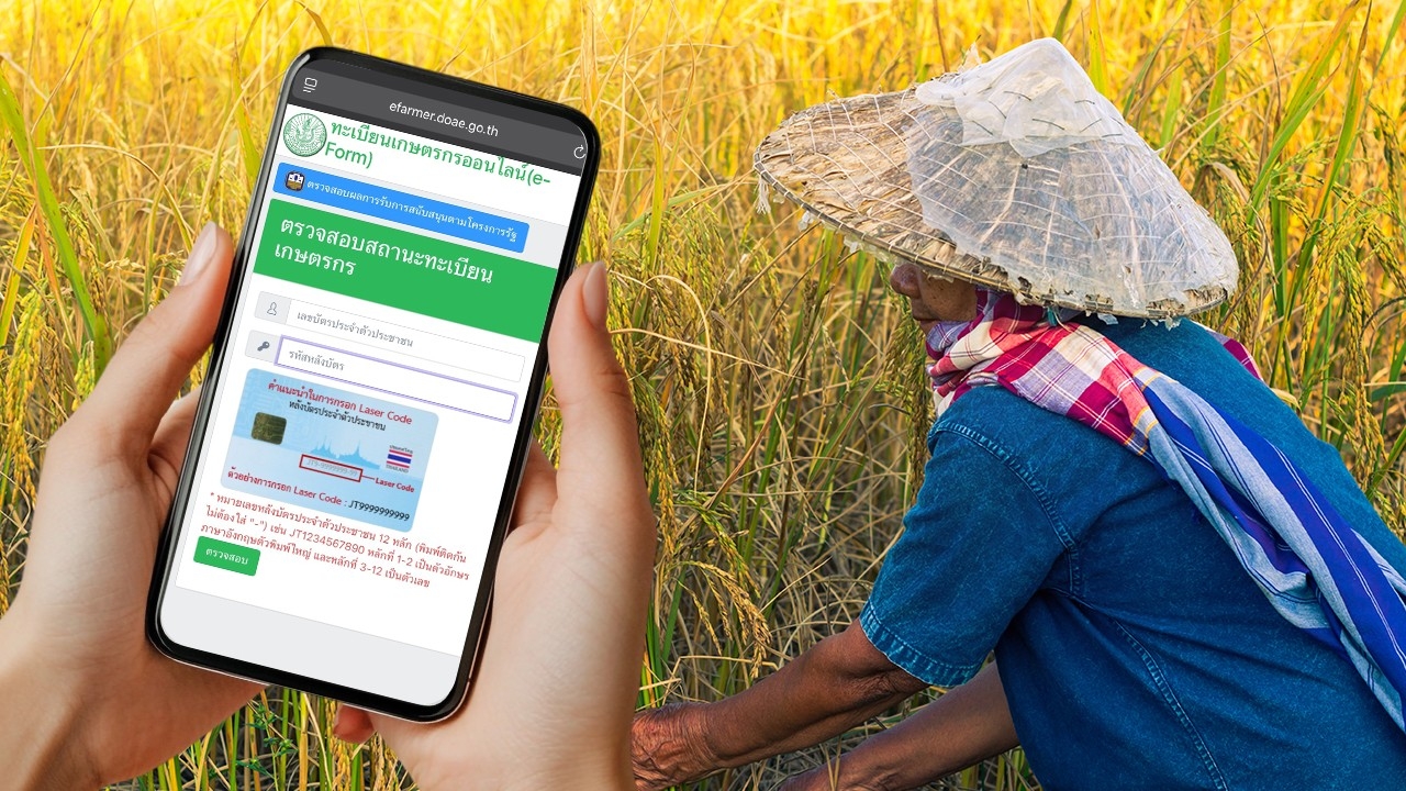 ช่องทางเช็กสิทธิ เงินช่วยเกษตรกรไร่ละ 1,000 https://efarmer.doae.go.th/checkFarmer