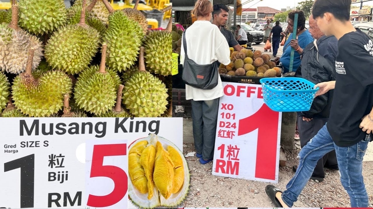 "สึนามิทุเรียน" ถล่มมาเลเซีย ผลผลิตล้นตลาด ราคาดิ่ง 90% เหลือลูกละ 4 บาท