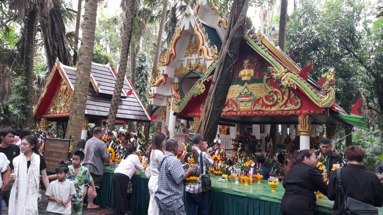 ฮือฮาเกาะคำชะโนด "ต้นมะเดื่อใหญ่" โค่นล้มทับ "สะพานพญานาค" คอหวยพลาดส่องเลขเด็ด