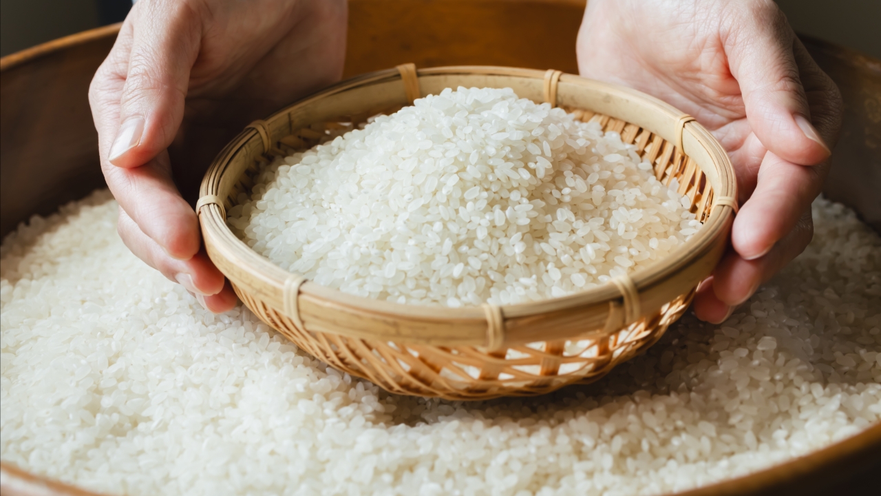 List of 10 Essential Kitchen Items to Save on Food Costs and Reduce Monthly Expenses