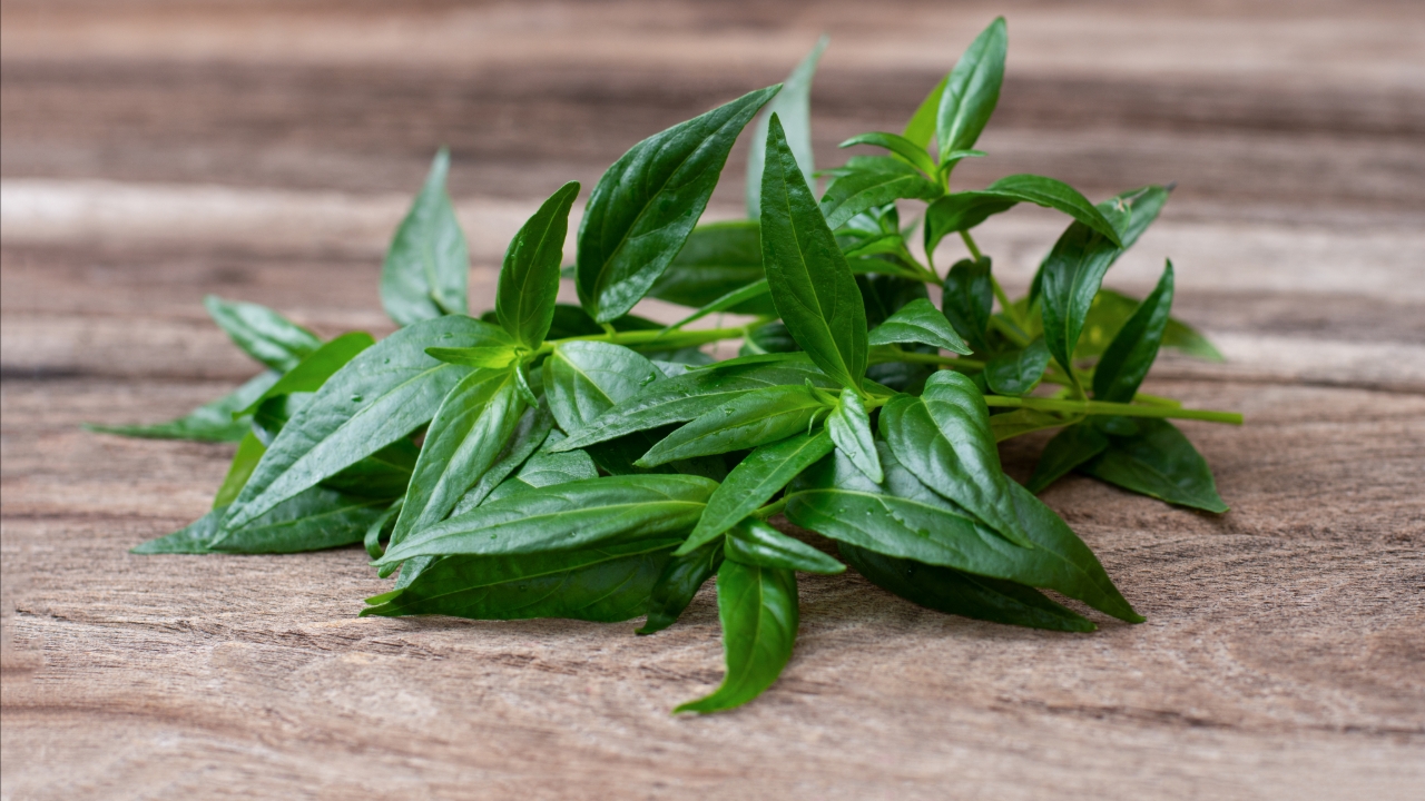 Traditional Thai Herbal Remedies: 10 Herbs to Relieve Itching and Skin Rashes