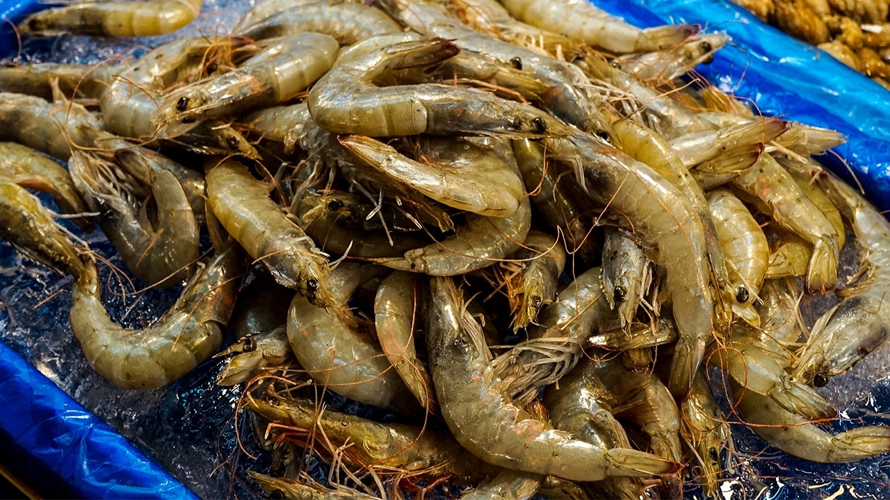 กุ้งสดดูยังไง? แจก 6 วิธีเลือกกุ้งสด เนื้อเด้ง หวานอร่อย เคล็ดลับง่ายๆ ที่ควรรู้