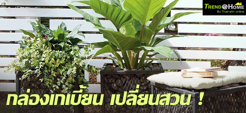 กล่องเกเบี้ยน เปลี่ยนสวน !